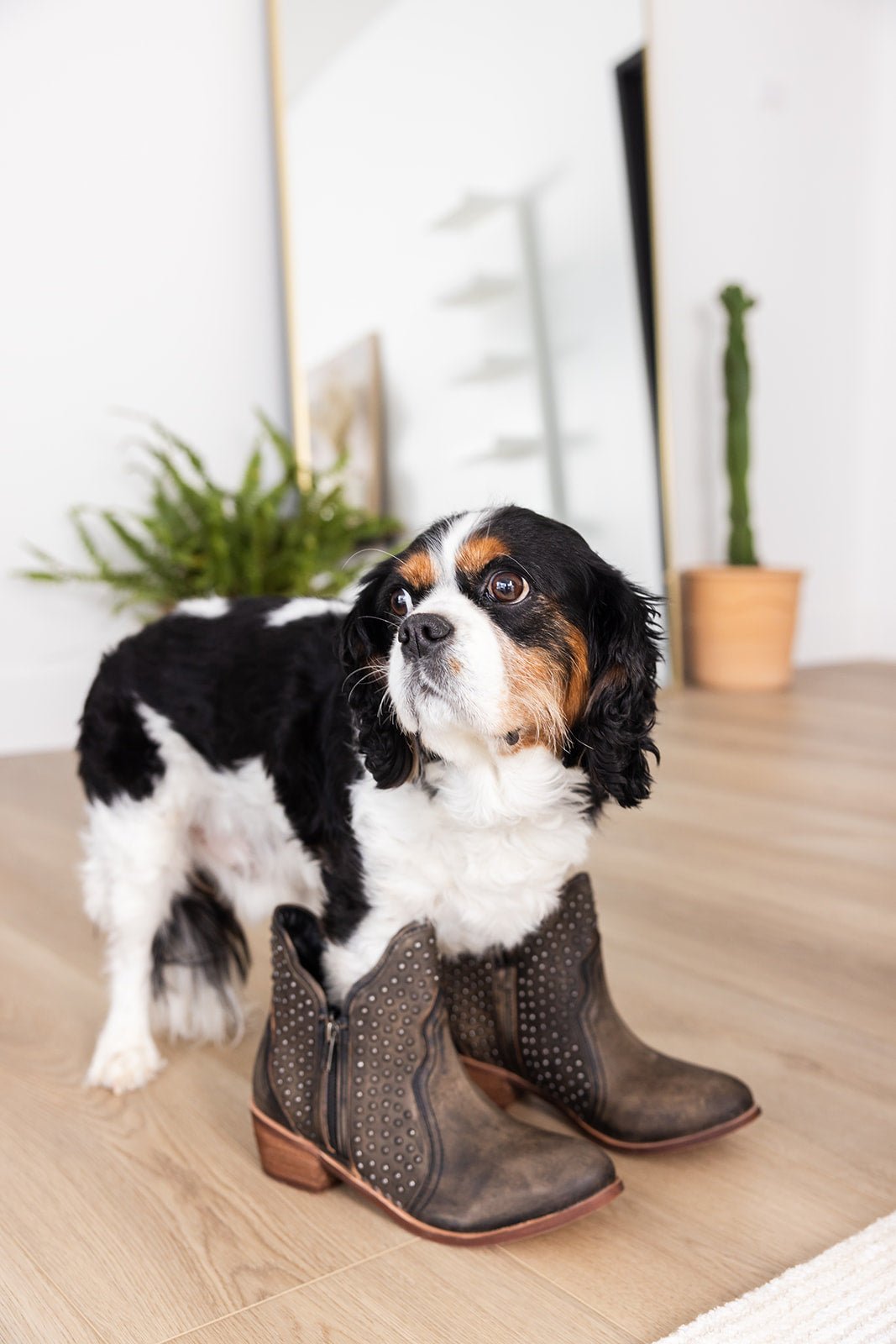 Nailed It Ankle Boot in White - Loving God