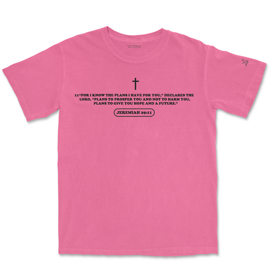 Lateral Gig | Jeremiah 29:11 Tee